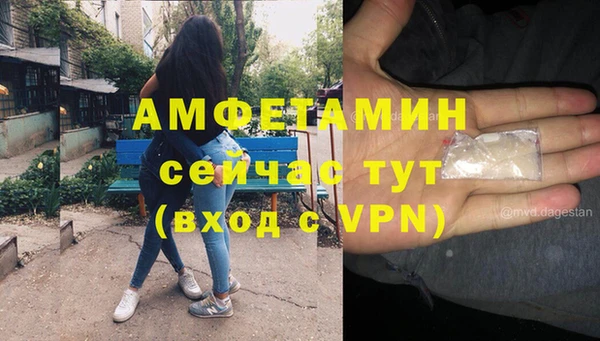 прущие грибы Бугульма